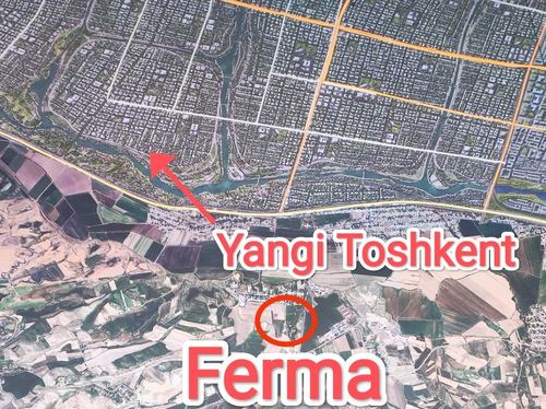 Yangi Toshkent. Ferma sotiladi.( 1,25 Gektar)  Продается ферма