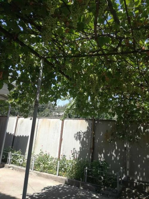5-комнатный коттедж, 600 м²