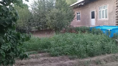 2-комнатный дом, 4 м²