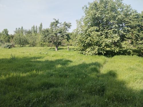 3-комнатная дача, 6000 м²