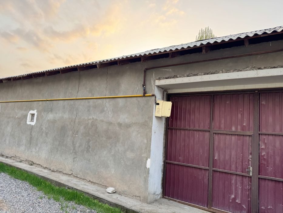 Yangiyolda 20 sotik ferma arendaga qoyiladi hama sharoit bor