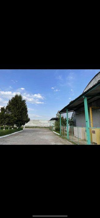 OMBORXONA.UZ. FRUIT HOUSE AL. хранения овощей, фруктов,