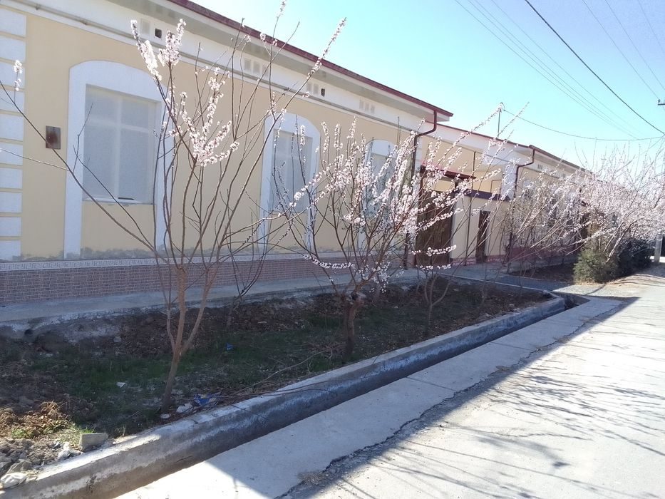 4-room cottage, 600 m², Urgench, for sale