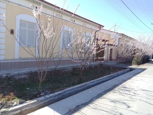 4-комнатный коттедж, 600 м²