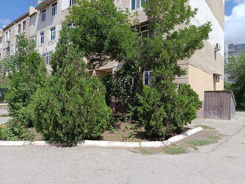 2-xonali kvartira, 100 m²