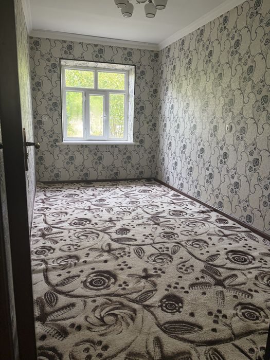 1-room apartment, 50 m², Zangiata, for rent