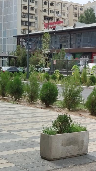 3-комнатная квартира, 100 м²