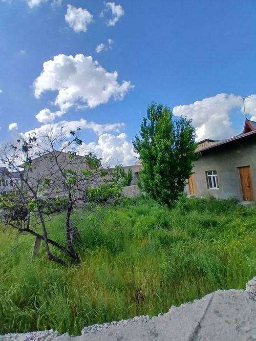 Toshkent tumani mehnat qizg'aldoqda yer sotiladi 5sutu