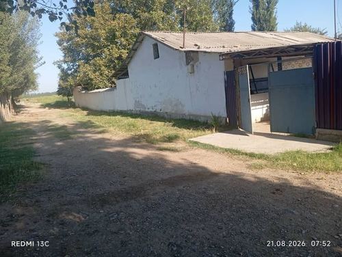 Srochni dalahovli sotiladi arzon narxda