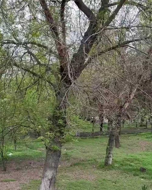 Продается  Земельный участок Лабзак  20 соток
