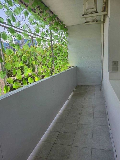 2-room apartment, 75 m²