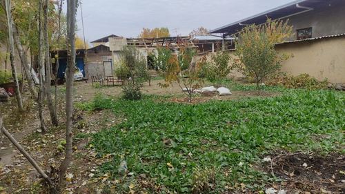 1-xonali uy, 6.5 m²