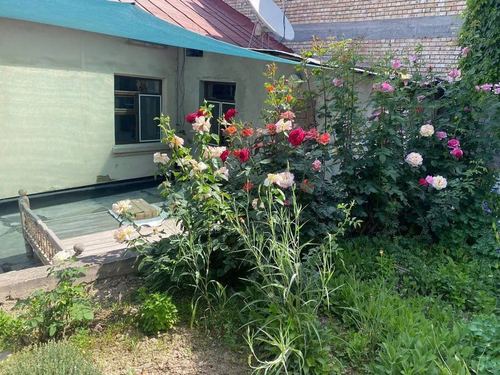 6-room house, 500 m²