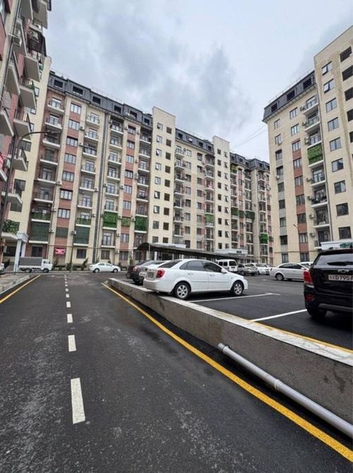 1-room apartment, 55 m²