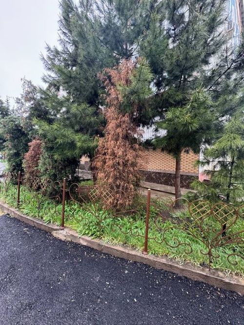 4-комнатная квартира, 82 м²