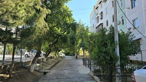 3-комнатная квартира, 77 м²