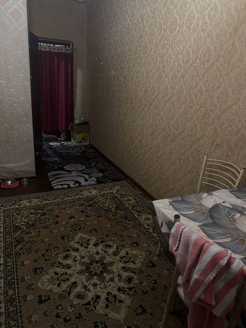 1-комнатная квартира, 24 м²