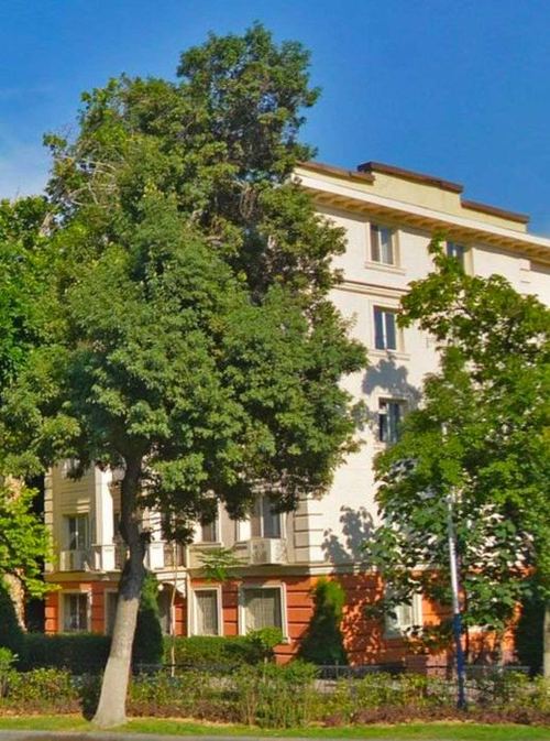 1-комнатная квартира, 45 м²