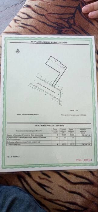 3-xonali uy, 3700 m²