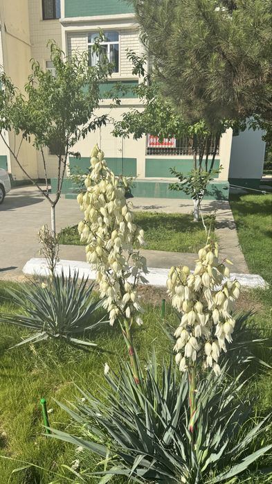 3-xonali kvartira, 58 m²