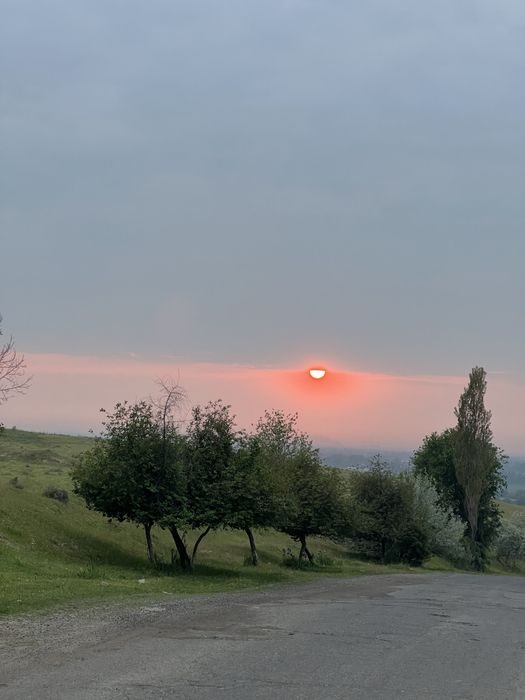 1-xonali uy, 6500 m², Toshkent, Bektemir tumani, sotuvga