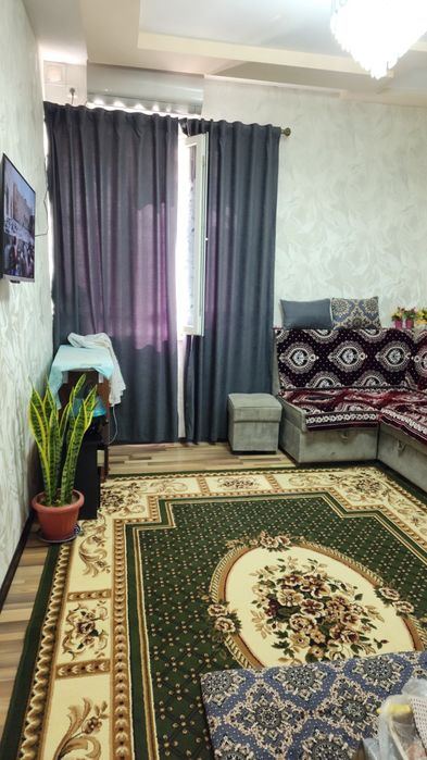 1-room apartment, 31 m²