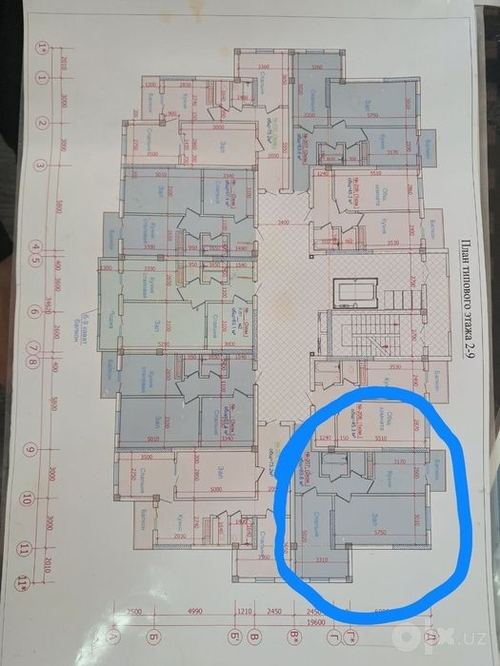 2-комнатная квартира, 55 м²
