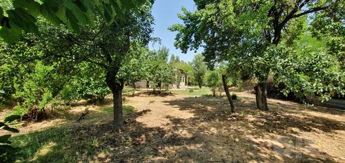 3-xonali uy, 1006 m²
