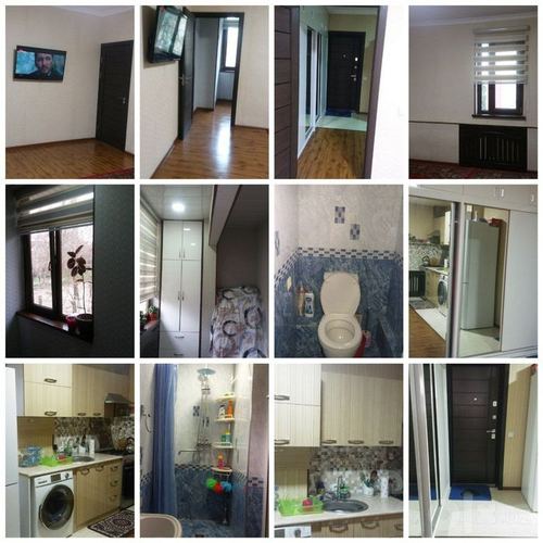 1-room apartment, 43 m²
