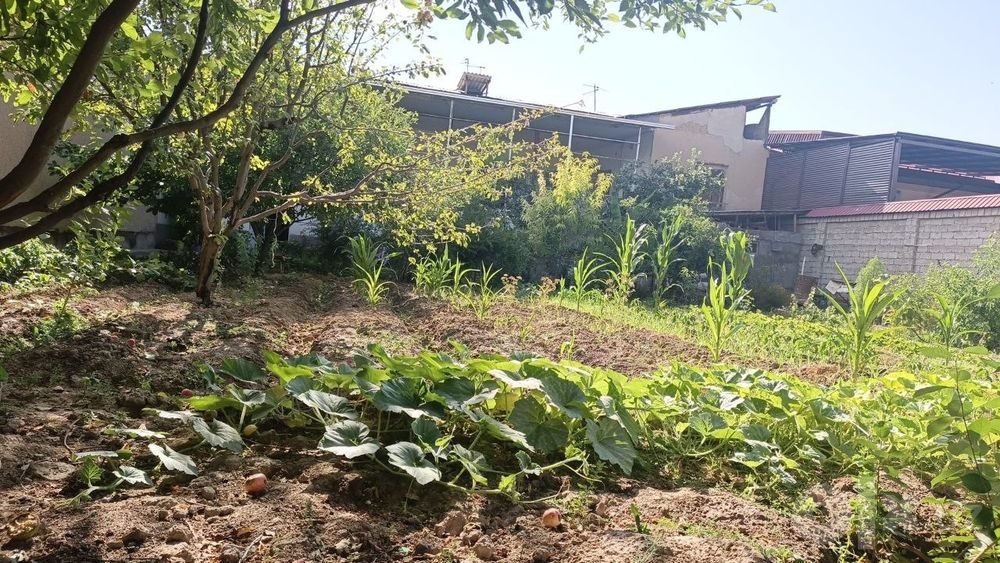 5-room cottage, 800 m², Tashkent, Yunusabad District, for sale