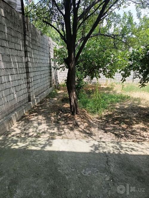2-room house, 100 m²