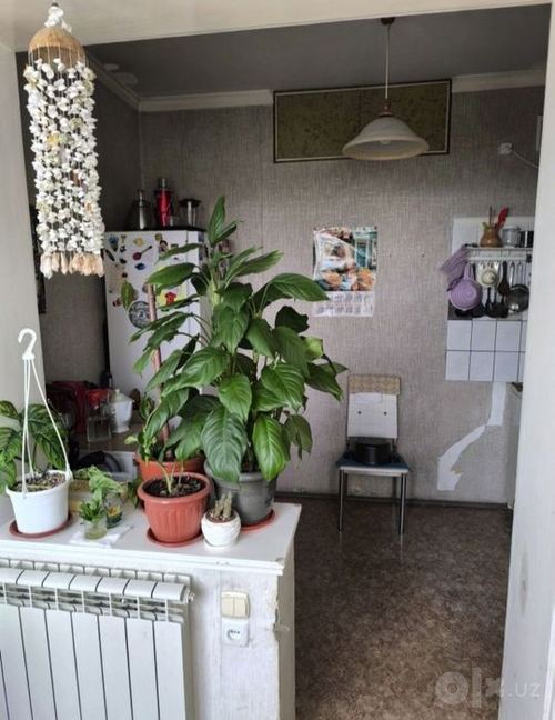 2-комнатная квартира, 60 м²