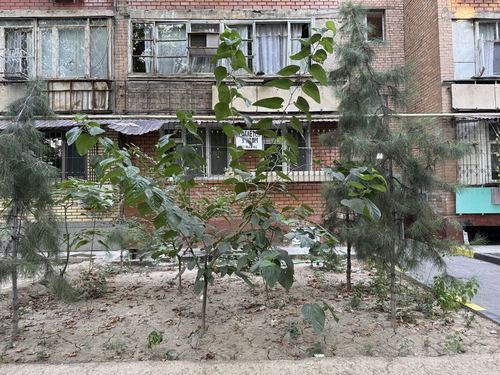 3-xonali kvartira, 64.96 m²