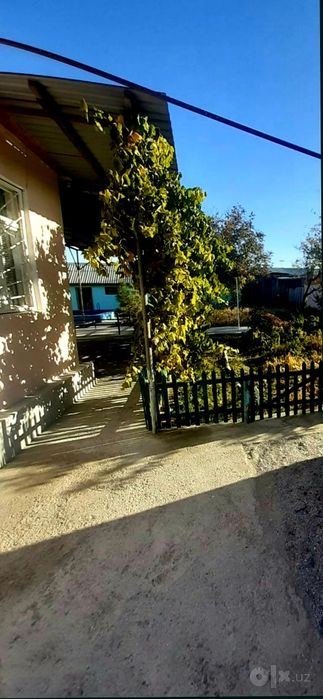 3-room cottage, 600 m²