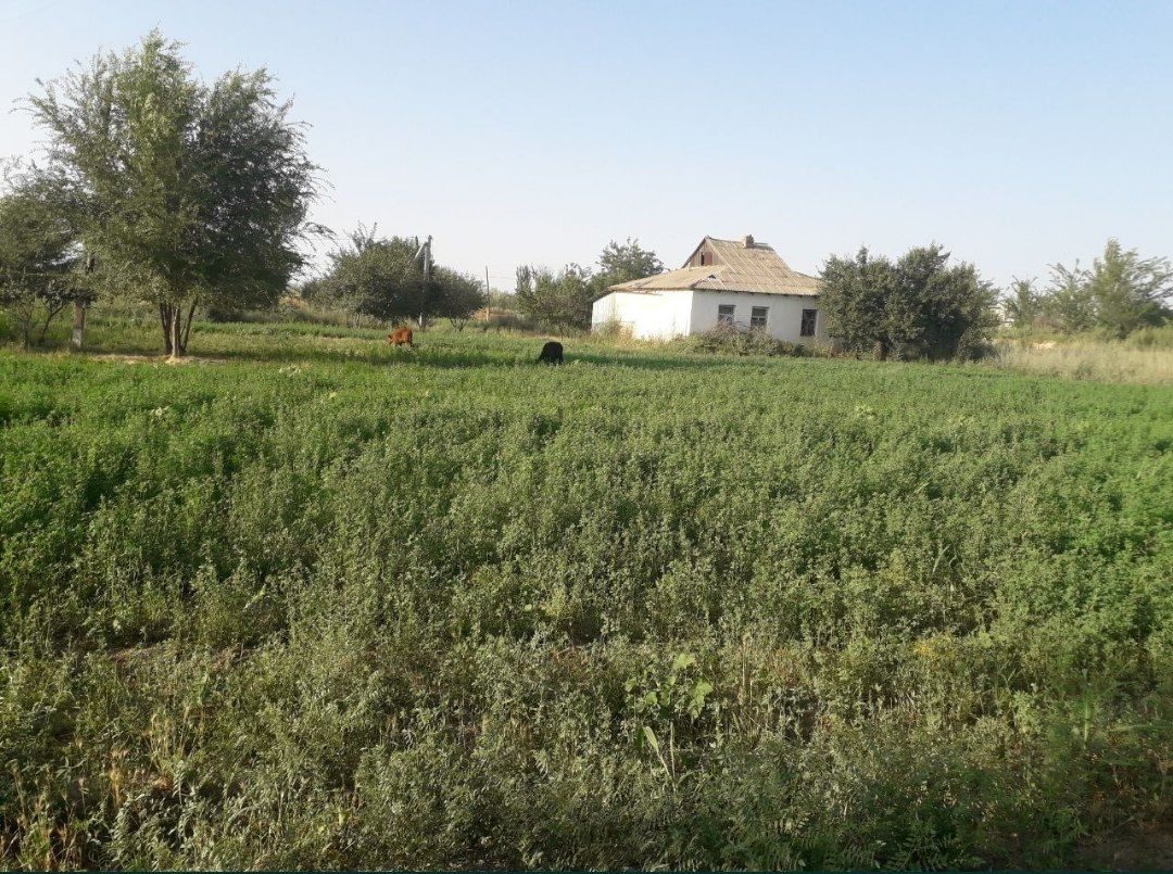 Quruq yer sotiladi