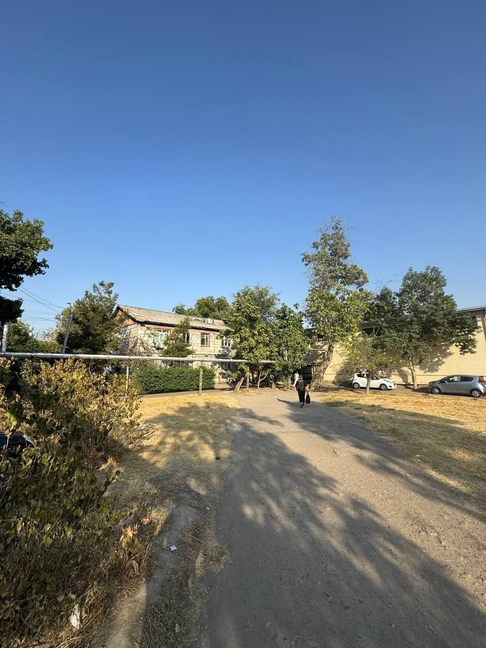 12 sotix sotiladi (dendropark)