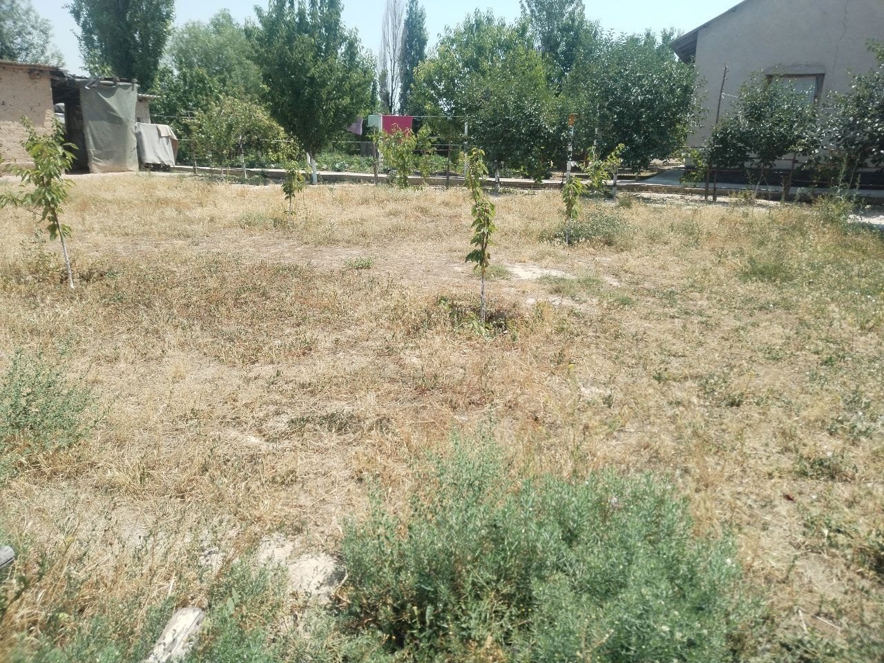 Yer sotiladi O'rta Chirchiqda, 7 sotix